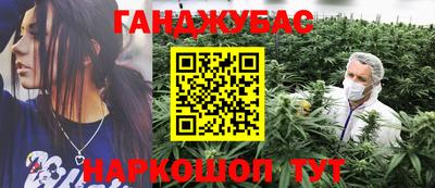 гашик Гуково