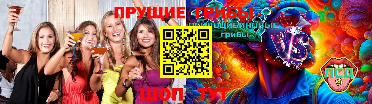 Звенигород  Галлюциногенные грибы Cubensis  Вход с VPN 